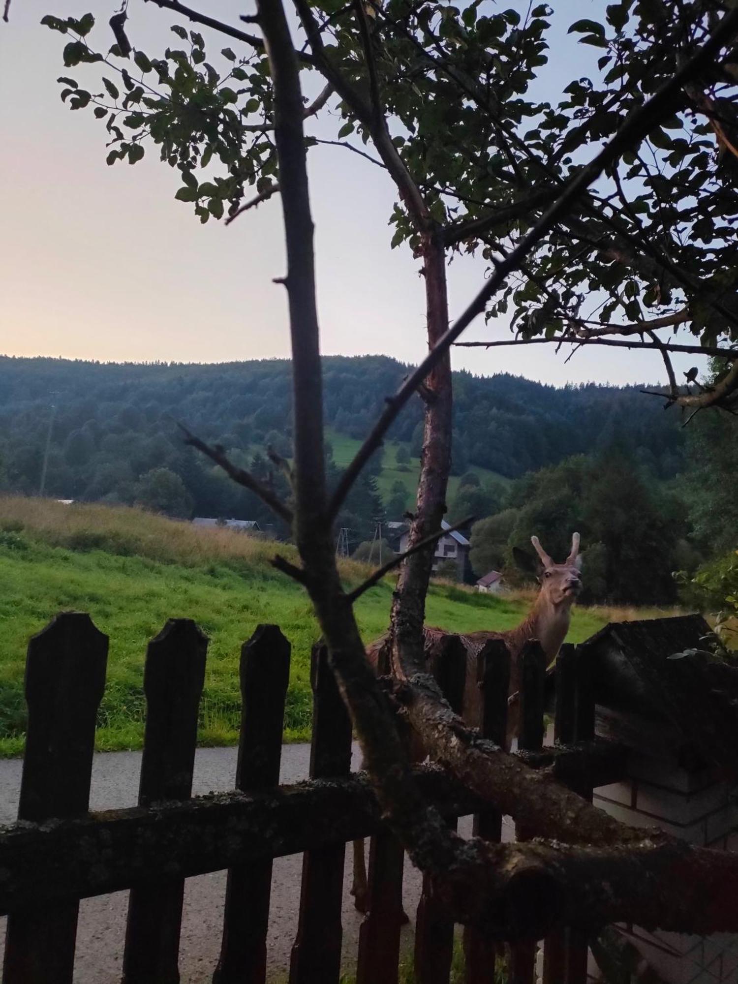 Góralska Czarcia Chata pod Jałowcem Stryszawa Exterior foto